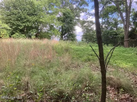 Lot 51 Buck Ridge Drive Murphy NC 28906