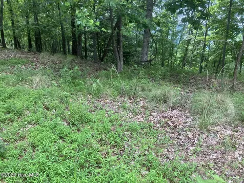 Lot 51 Buck Ridge Drive Murphy NC 28906
