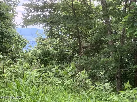 Lot 51 Buck Ridge Drive Murphy NC 28906