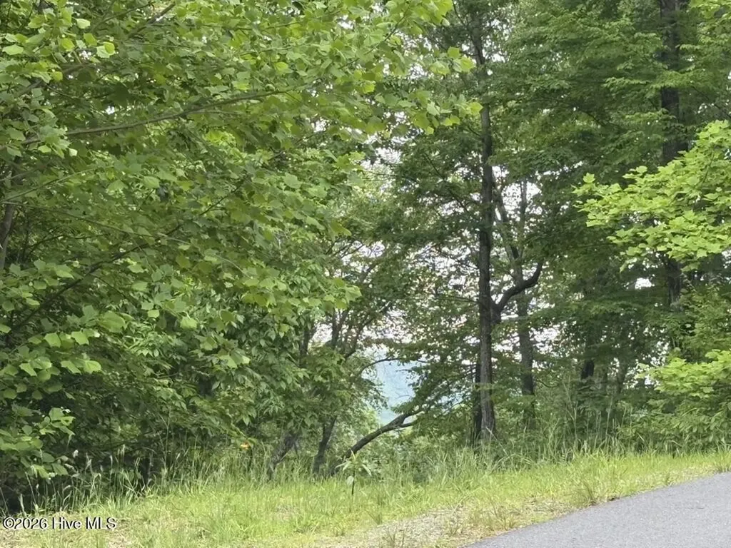 Hayesville NC 28904