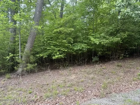 Hayesville NC 28904