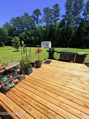 1926 Snowy Egret Drive Morehead City NC 28557