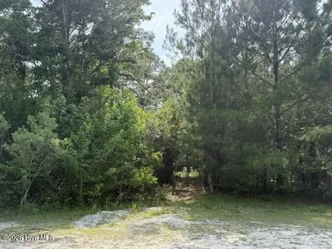 1602 Breezeway Drive SW Ocean Isle Beach NC 28469