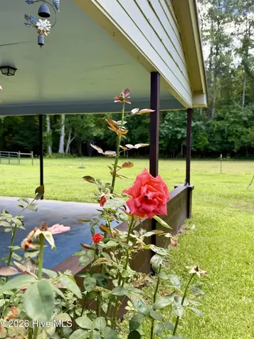 101 Nevil Creek Road Blounts Creek NC 27814