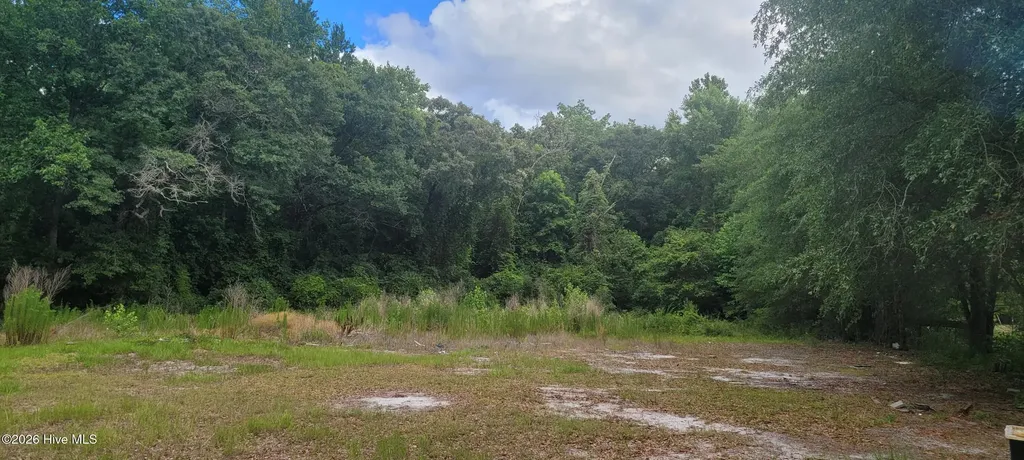 28379 Nc Highway 210 Currie NC 28435