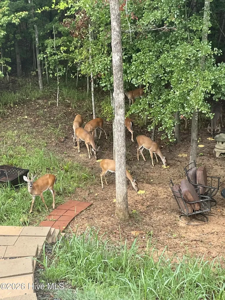 719 Houston Lake Drive Evans GA 30809