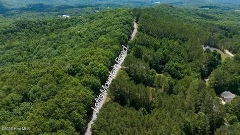 Lot 21 Loftis Mountain Blairsville GA 30512