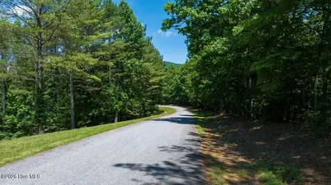 Lot 21 Loftis Mountain Blairsville GA 30512