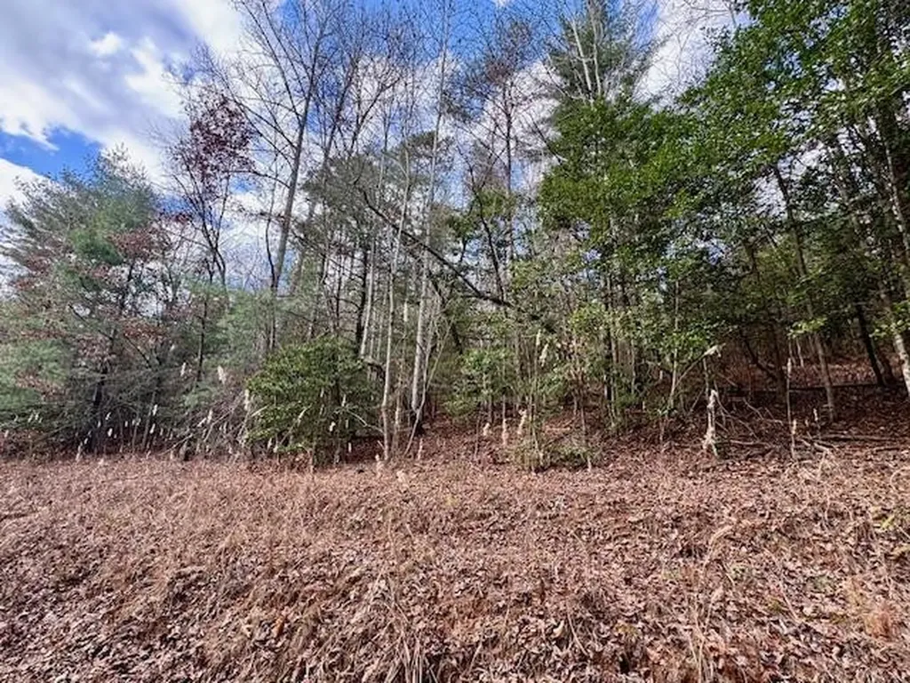 Lot 9 Timberline Road Murphy NC 28906