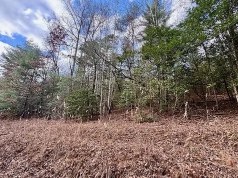 Lot 9 Timberline Road Murphy NC 28906