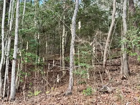 Lot 9 Timberline Road Murphy NC 28906