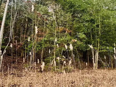 Lot 9 Timberline Road Murphy NC 28906