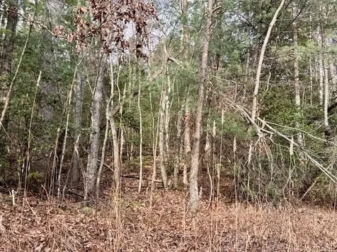 Lot 9 Timberline Road Murphy NC 28906