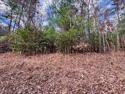 Lot 9 Timberline Road Murphy NC 28906