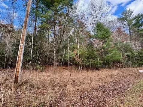 Lot 9 Timberline Road Murphy NC 28906