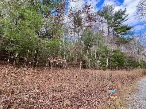 Lot 9 Timberline Road Murphy NC 28906