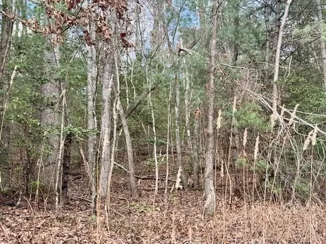 Lot 9 Timberline Road Murphy NC 28906