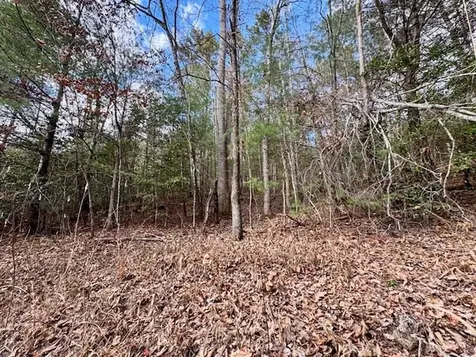 Lot 9 Timberline Road Murphy NC 28906