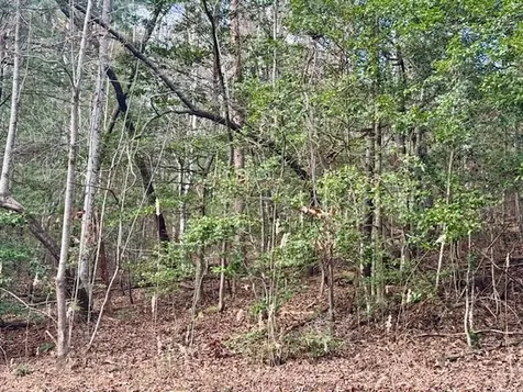 Lot 9 Timberline Road Murphy NC 28906