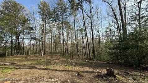 30 Mouse Creek Trail Murphy NC 28906