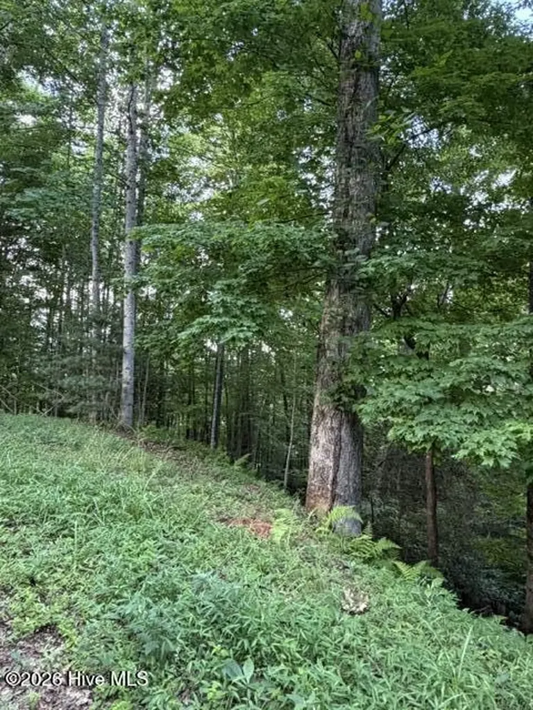 Lot 59 Quiet Mountain Trail Murphy NC 28906