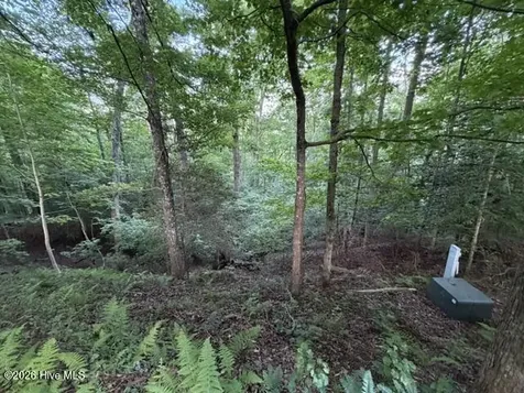 Lot 59 Quiet Mountain Trail Murphy NC 28906