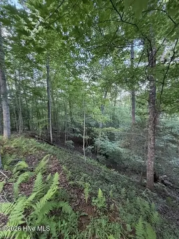 Lot 59 Quiet Mountain Trail Murphy NC 28906