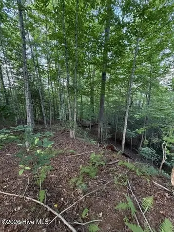 Lot 59 Quiet Mountain Trail Murphy NC 28906
