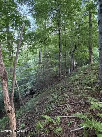 Lot 59 Quiet Mountain Trail Murphy NC 28906