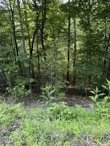 Lot 37 Quiet Waters Road Murphy NC 28906