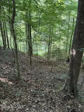 Lot 37 Quiet Waters Road Murphy NC 28906