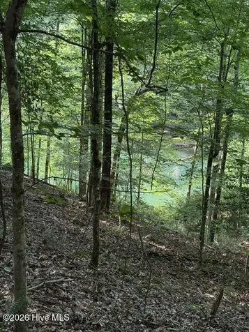 Lot 37 Quiet Waters Road Murphy NC 28906