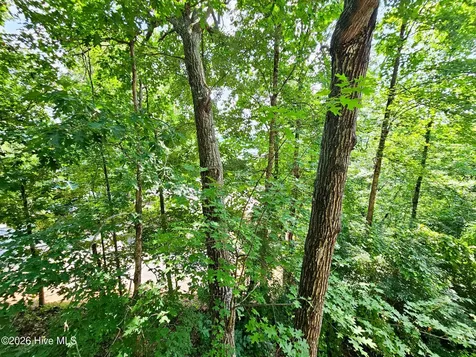 128 Manor Drive Hayesville NC 28904