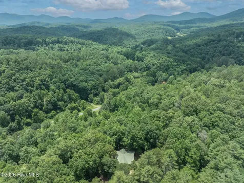 167 Brasstown View Brasstown NC 28902