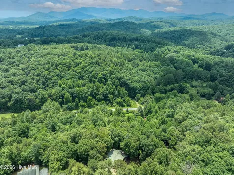 167 Brasstown View Brasstown NC 28902