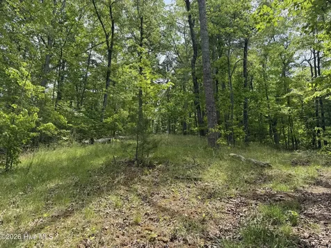 Multi Lots Black Fox Drive Murphy NC 28906