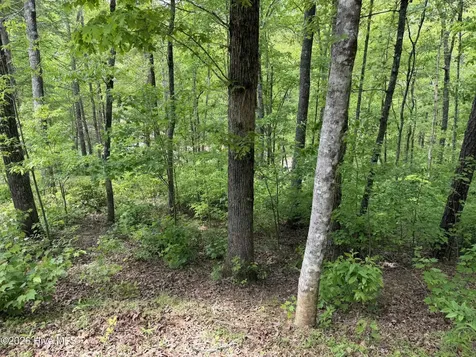 Multi Lots Black Fox Drive Murphy NC 28906