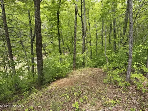 Multi Lots Black Fox Drive Murphy NC 28906