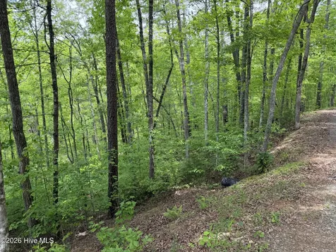Multi Lots Black Fox Drive Murphy NC 28906