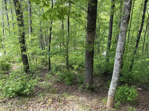 Multi Lots Black Fox Drive Murphy NC 28906