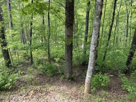 Multi Lots Black Fox Drive Murphy NC 28906
