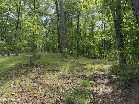 Multi Lots Black Fox Drive Murphy NC 28906