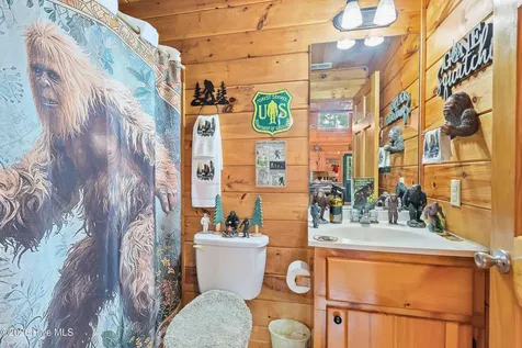 310 Ringtail Run Murphy NC 28906