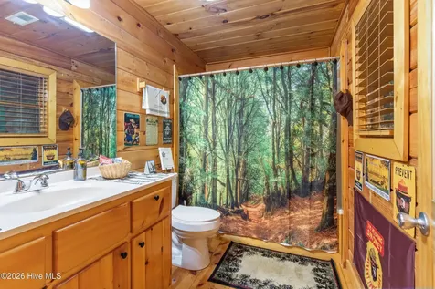 310 Ringtail Run Murphy NC 28906
