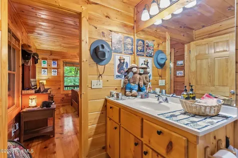 310 Ringtail Run Murphy NC 28906