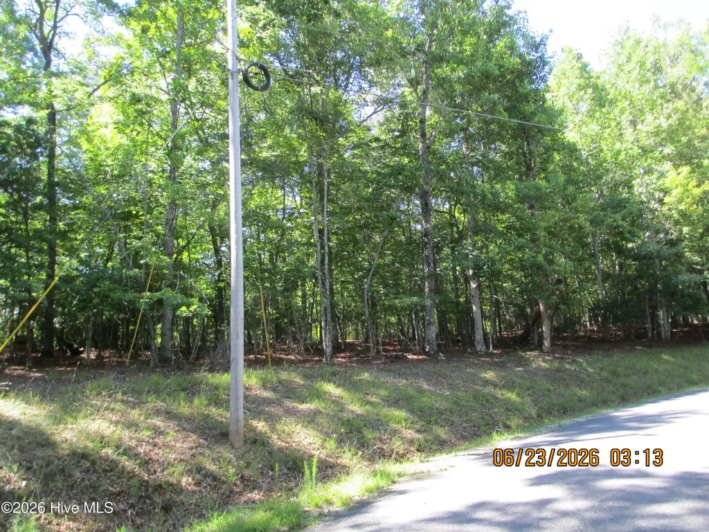Lot 8, Quail Cove Circle Warne NC 28909