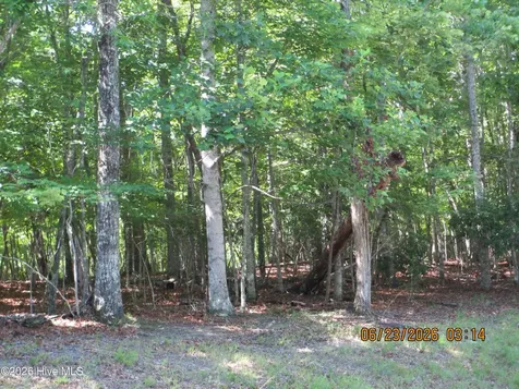 Lot 8, Quail Cove Circle Warne NC 28909
