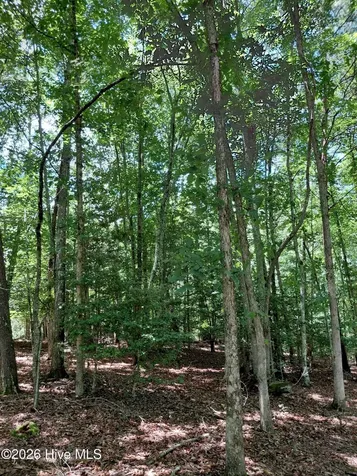 Lot 8, Quail Cove Circle Warne NC 28909