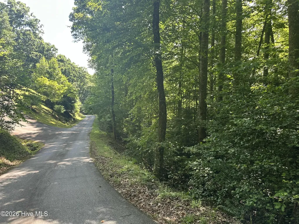 6 Bartram Trail Road Franklin NC 28734