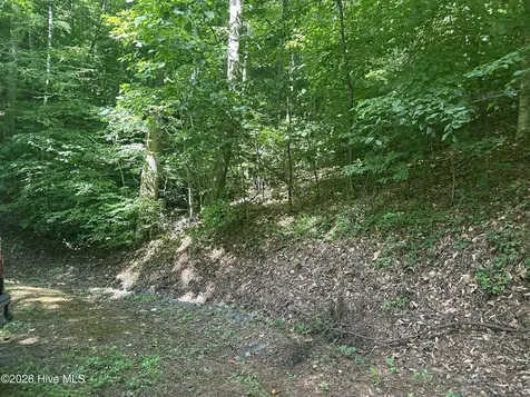 6 Bartram Trail Road Franklin NC 28734